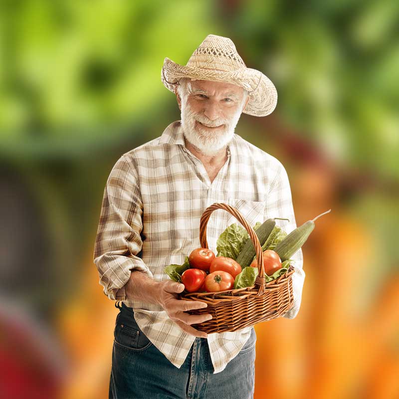 Üzüm & Sert Çekirdekli Meyveler